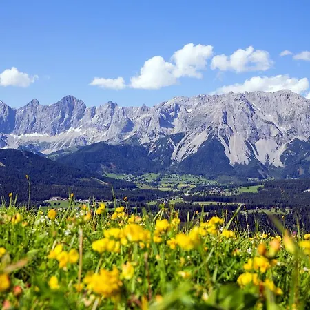 Aparthotel Ramsau 3*