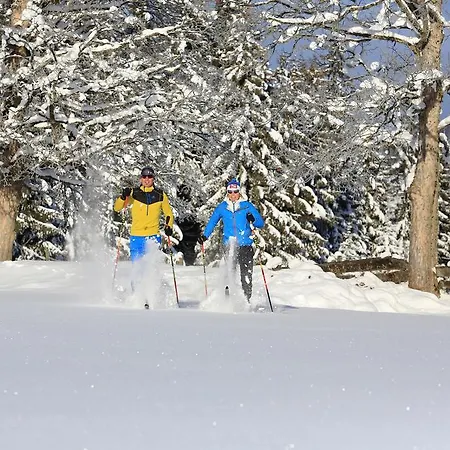 Aparthotel Ramsau Ramsau am Dachstein
