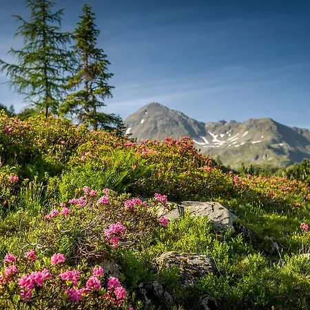 Ramsau Aparthotel Ramsau am Dachstein