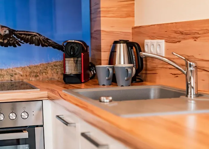 Aparthotel Ramsau شقة فندقية