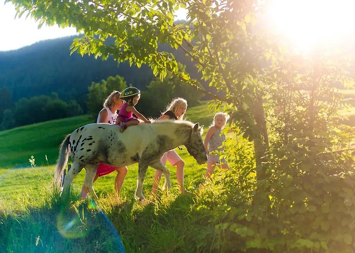 Aparthotel Ramsau 3*